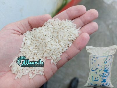 قیمت برنج ندا
