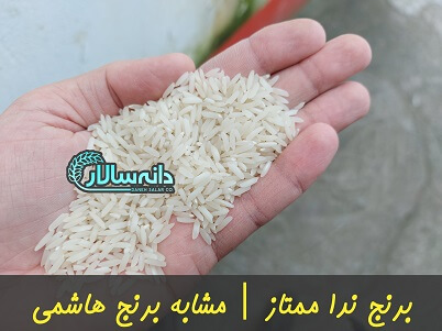 قیمت برنج ندا