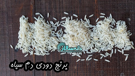 قیمت برنج دودی دم سیاه